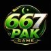667PAK Game