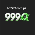 999Q Game